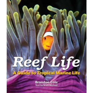 Reef Life: A Guide to Tropical Marine Life