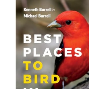 Best Places to Bird in Ontario