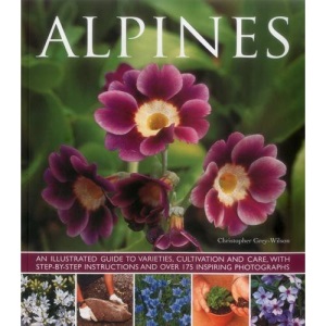 Alpines