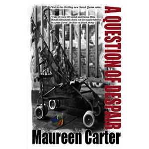 A Question of Despair (Sarah Quinn Mysteries)