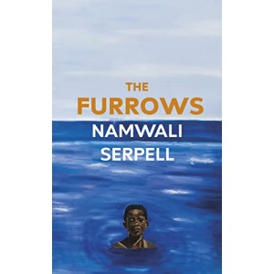 The Furrows: From the Prize-winning author of The Old Drift