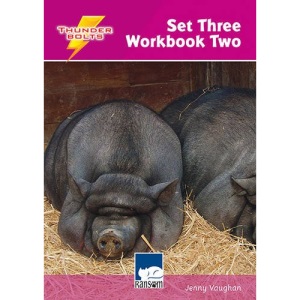 Thunderbolts: Thunderbolts Set 3 Workbook 2 Workbook 2