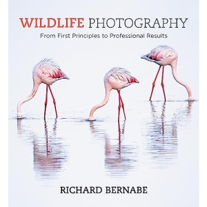 Wildlife Photography