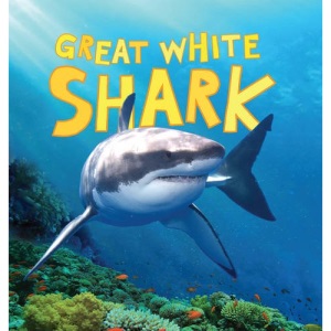 Discover Sharks: Great White Shark