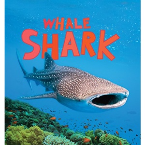 Whale Shark (Discover Sharks)