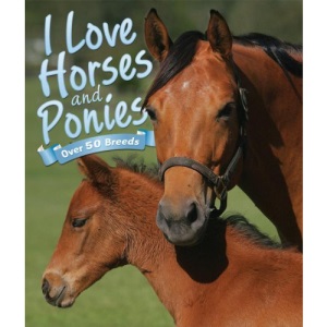 I Love: Horses and Ponies