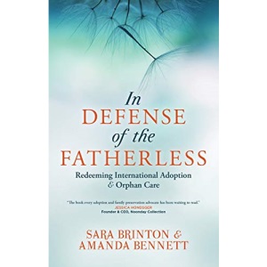 In Defense of the Fatherless: Redeeming International Adoption & Orphan Care (Pocket Guide)