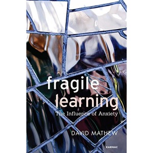 Fragile Learning: The Influence of Anxiety