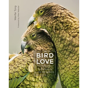 Bird Love: The Family Life of Birds