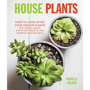 House Plants: How to look after your indoor plants: with helpful advice, step-by-step projects, and inventive planting ideas