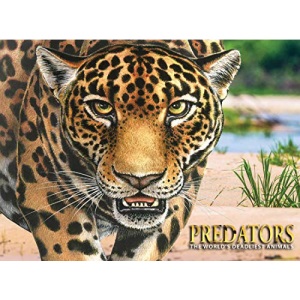 Predators: The World's Deadliest Animals