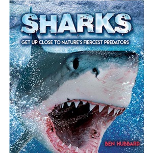 Sharks: Get Up Close to Nature's Fiercest Predators: 1 (Y)