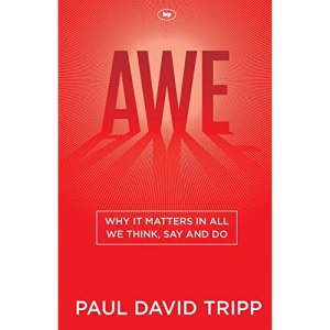 Awe: Why It Matters In All We Think, Say And Do