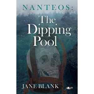 Nanteos - The Dipping Pool
