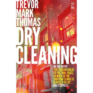 Dry Cleaning (Salt Modern Fiction)