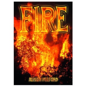 Fire (Wow! Facts (W))