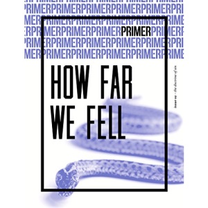 How Far We Fell - Primer Issue 2: The doctrine of sin