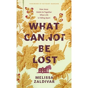 What Cannot Be Lost: How Jesus Holds Us Together When Life Is Falling Apart (A personal story of holding on to Christian faith in the face of suffering, grief and feeling depressed)