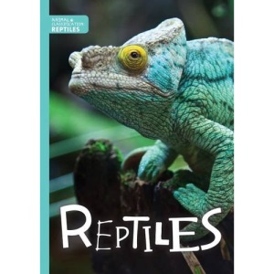 Reptiles (Animal Classification)