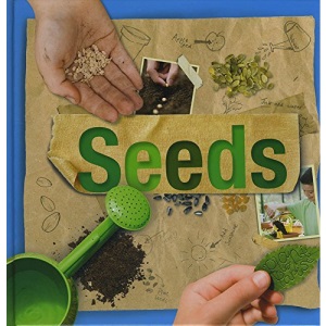 Seeds (Plant Parts)