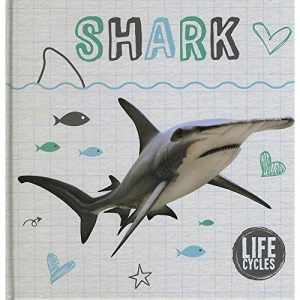 Shark (Life Cycles)