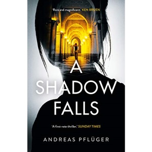 A Shadow Falls (A Jenny Aaron Thriller)