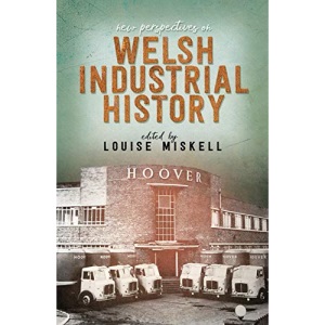 New Perspectives on Welsh Industrial History
