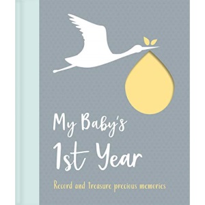 My Baby's 1st Year (My Baby's Love)