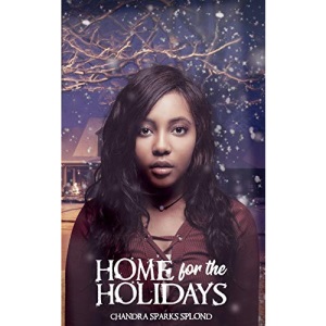 Home for the Holidays: A Christmas Short Story