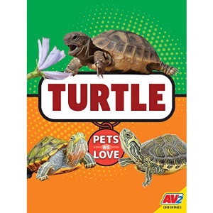 Turtle (Pets We Love)