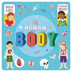 Lift The Flap: Human Body (Look Inside Board Book)