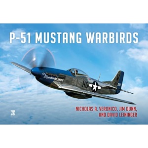 P-51 Mustang Warbirds