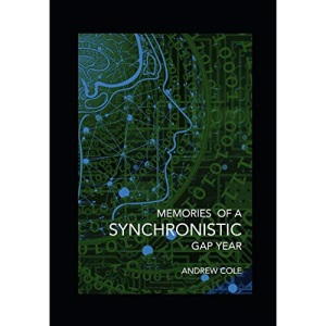 Memories of a Synchronistic Gap Year: Revealed. A true story of a covert Government Brain-Machine Interface experiment.