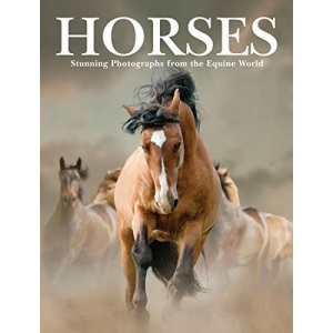 Horses (Animals): Stunning Photographs from the Equine World