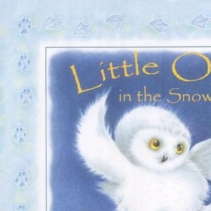 Little Owl in the Snow