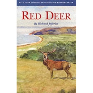 Red Deer