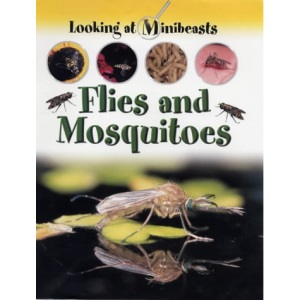 Flies and Mosquitoes (Looking at Minibeasts)