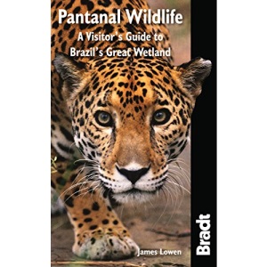 Pantanal Wildlife: A Visitor's Guide to Brazil's Great Wetland (Bradt Travel Guide)