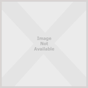 Hanna's Daughters (LARGE PRINT)