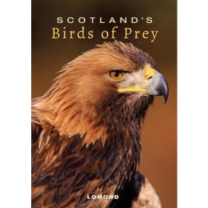 Scotland's Birds of Prey: In and around the Granite City (Picturing Scotland)