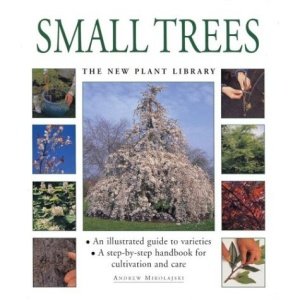 Small Trees (The new plant library)