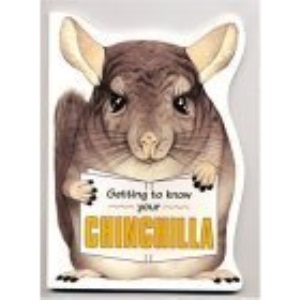 Getting to Know Your Chinchilla
