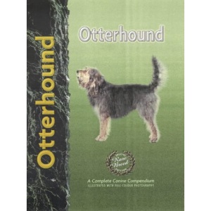 Otterhound