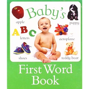 Baby's First Word Book