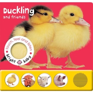 Touch, Feel and Listen - Duckling and Friends (Bright Baby) (Bright Baby Series)