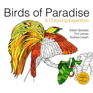 Birds of Paradise: A Colouring Expedition (Colouring Books)