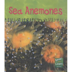 Ooey-Gooey Animals: Sea Anemones Hardback