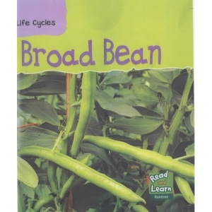 Broad Bean (Life Cycles)