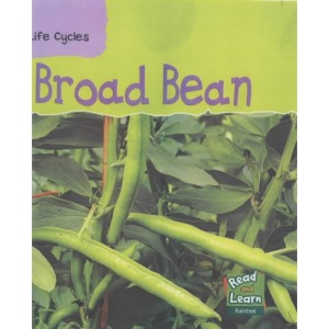 Broad Bean  (Read & Learn: Life Cycles)
