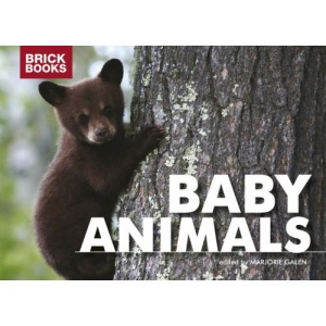 Baby Animals (Brick Books)